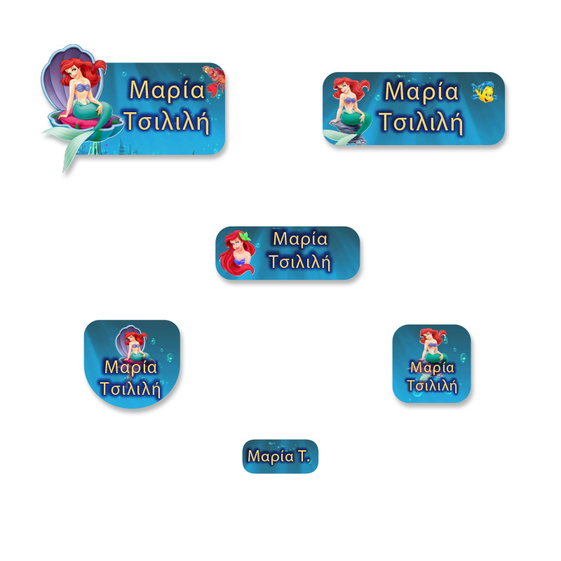 Αδιάβροχες σχολικές ετικέτες Ariel με όνομα Premium pack